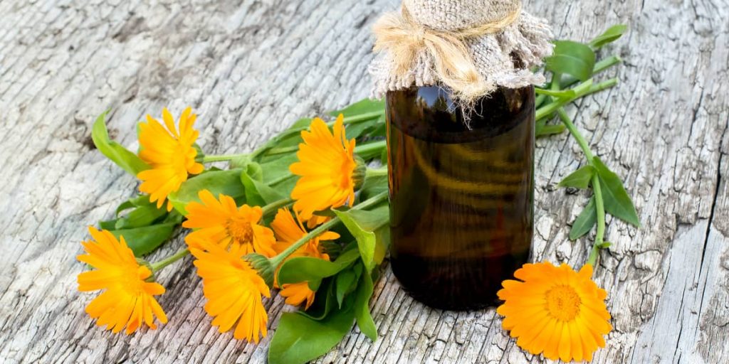 Calendula 1024x512 - Best Herbs For Hair Growth: Top 10 Herbs