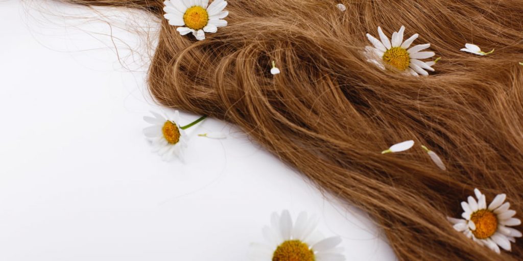 chamomile mussed in hair