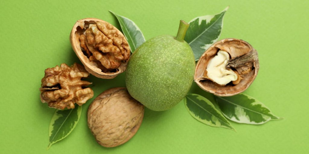 4. Hair Dye Alternative With Green Walnut Peel 1024x512 - How To Naturally Dye Your Hair: 8 Natural Ways