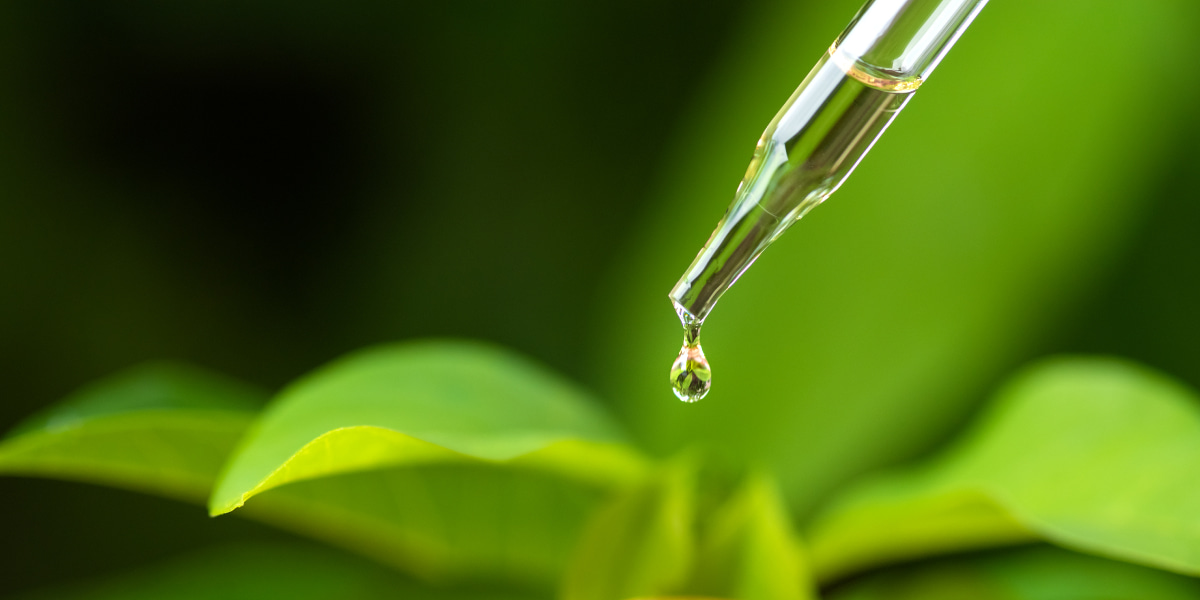 How To Use Tea Tree Oil On Scalp? Ultimate Guide