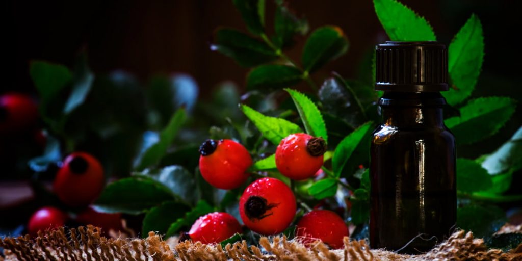 What is Rosehip Essential Oil 1024x512 - How To Use Rosehip Oil? 7 Rosehip Oil Uses You Must Know About