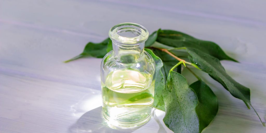2 What are its benefits for the skin  1024x512 - Tea Tree Oil Benefits For Skin You Might Not Hear Of Yet