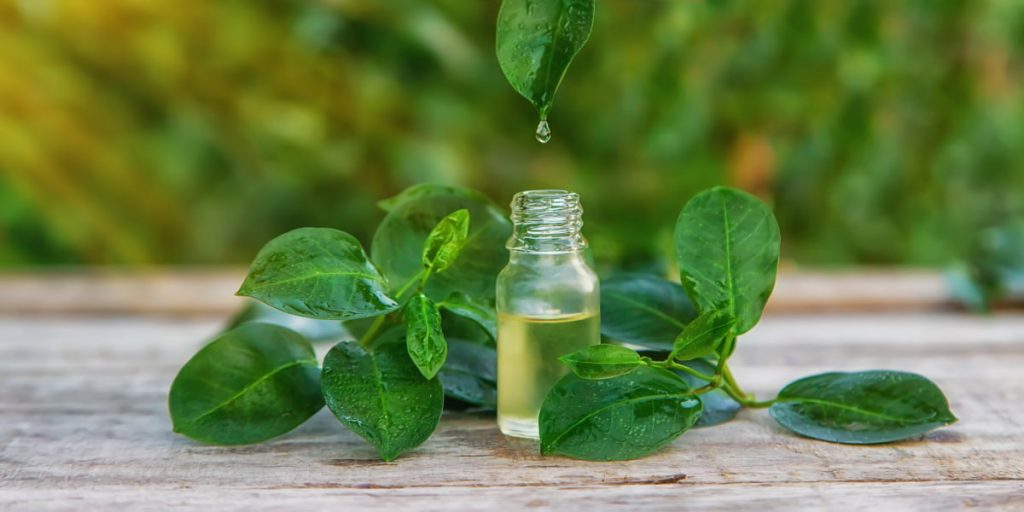 3 How to use tea tree oil  1024x512 - Tea Tree Oil Benefits For Skin You Might Not Hear Of Yet