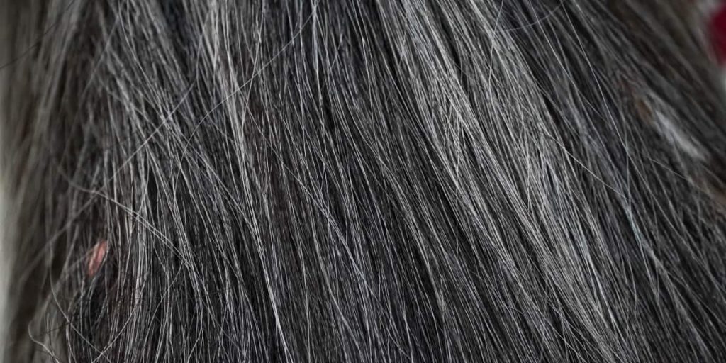 woman gray hair
