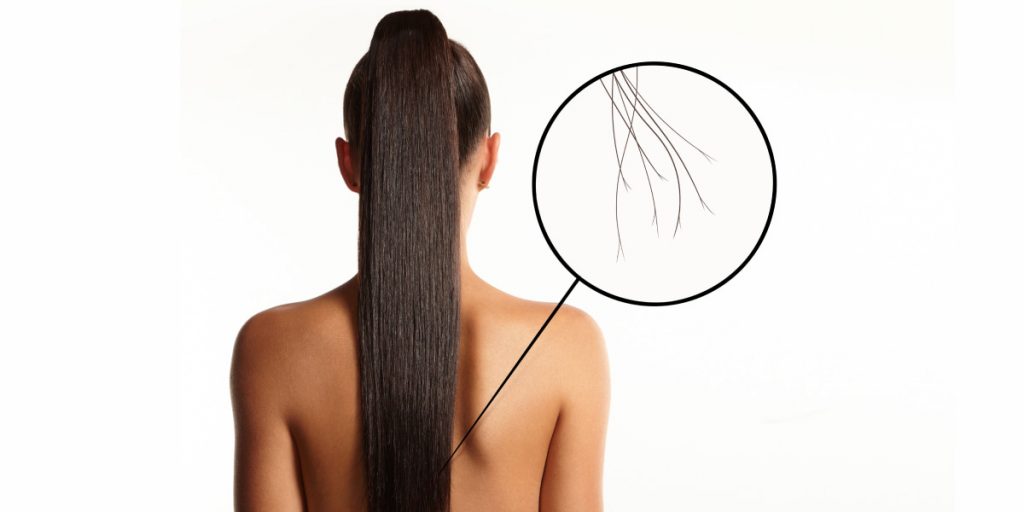 What Are Split Ends on Hair 1024x512 - Split Ends On Hair: Causes And Efficient Treatment Methods