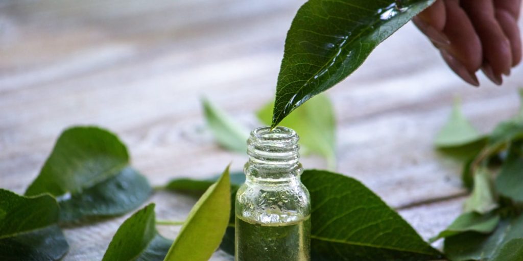 What Else Can Tea Tree Oil Do 1024x512 - How To Use Tea Tree Oil For Face? Tea Tree Oil Benefits For Skin