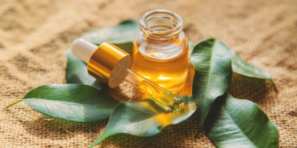 Who Should Not Use Tea Tree Oil 1024x512 - How To Use Tea Tree Oil For Face? Tea Tree Oil Benefits For Skin