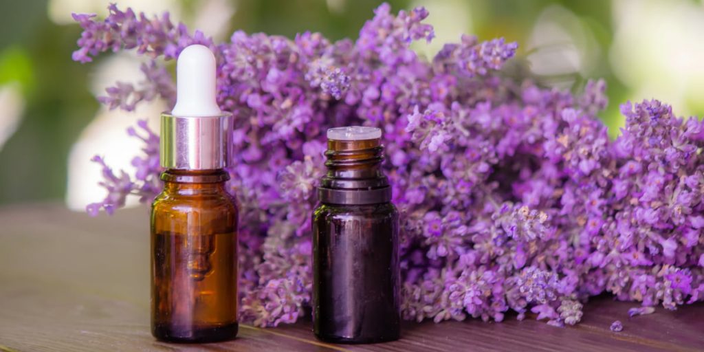 Lavender and lavender oil in the bottle