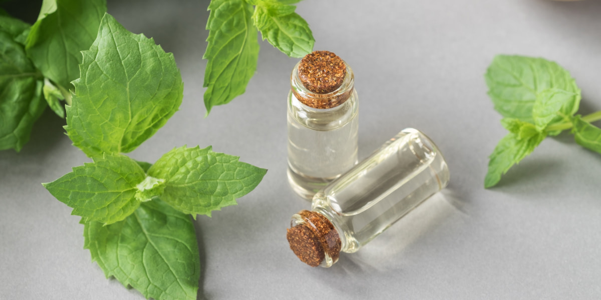 Top 10 Essential Oils For Hair Growth