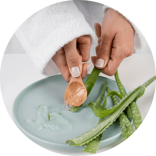 9 Use Aloe Vera min - Dry Skin During Winter: What You Need To Know 