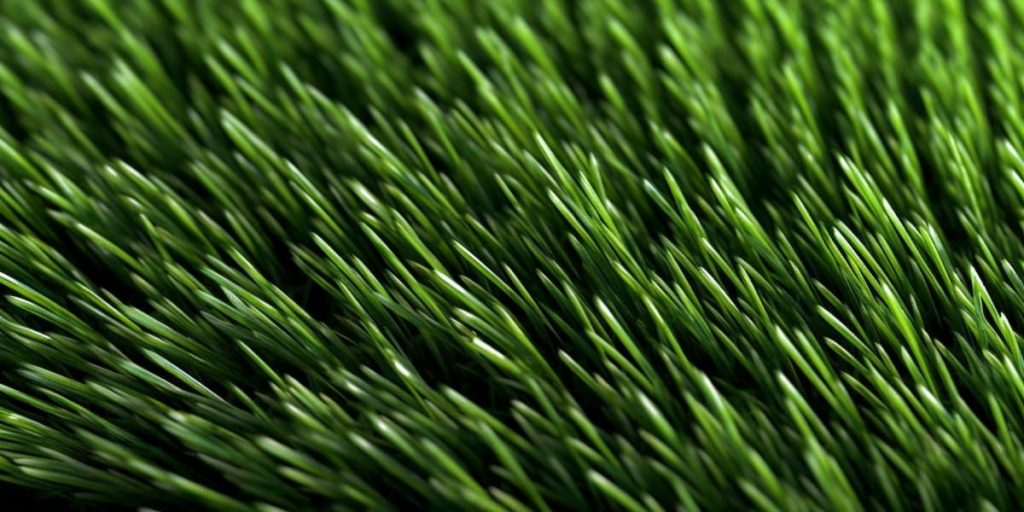 sustainability and eco friendliness 1024x512 - The Beauty Benefits of Wheatgrass